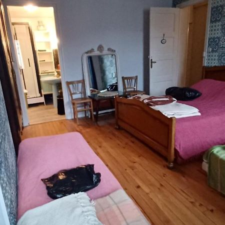 Chez Virginie - Chambre Du Bourg Lourdes Buitenkant foto